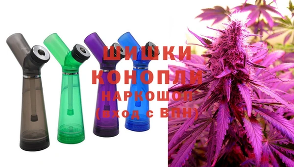 гидропоника Каменногорск